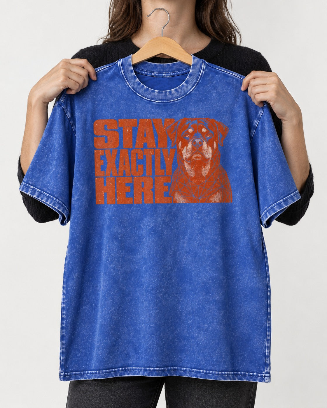 Rottweiler Stay Exactly Here Block Portrait Graphic Washed Tee in Royal Blue, held up on a hanger