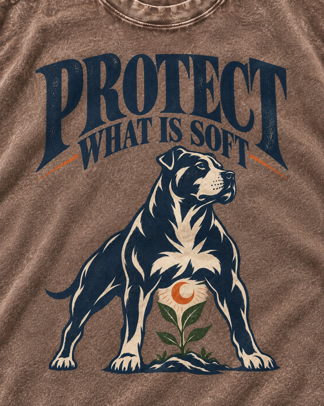 Protect What Is Soft Pitbull Washed Tee in Coffee, close-up of the graphic