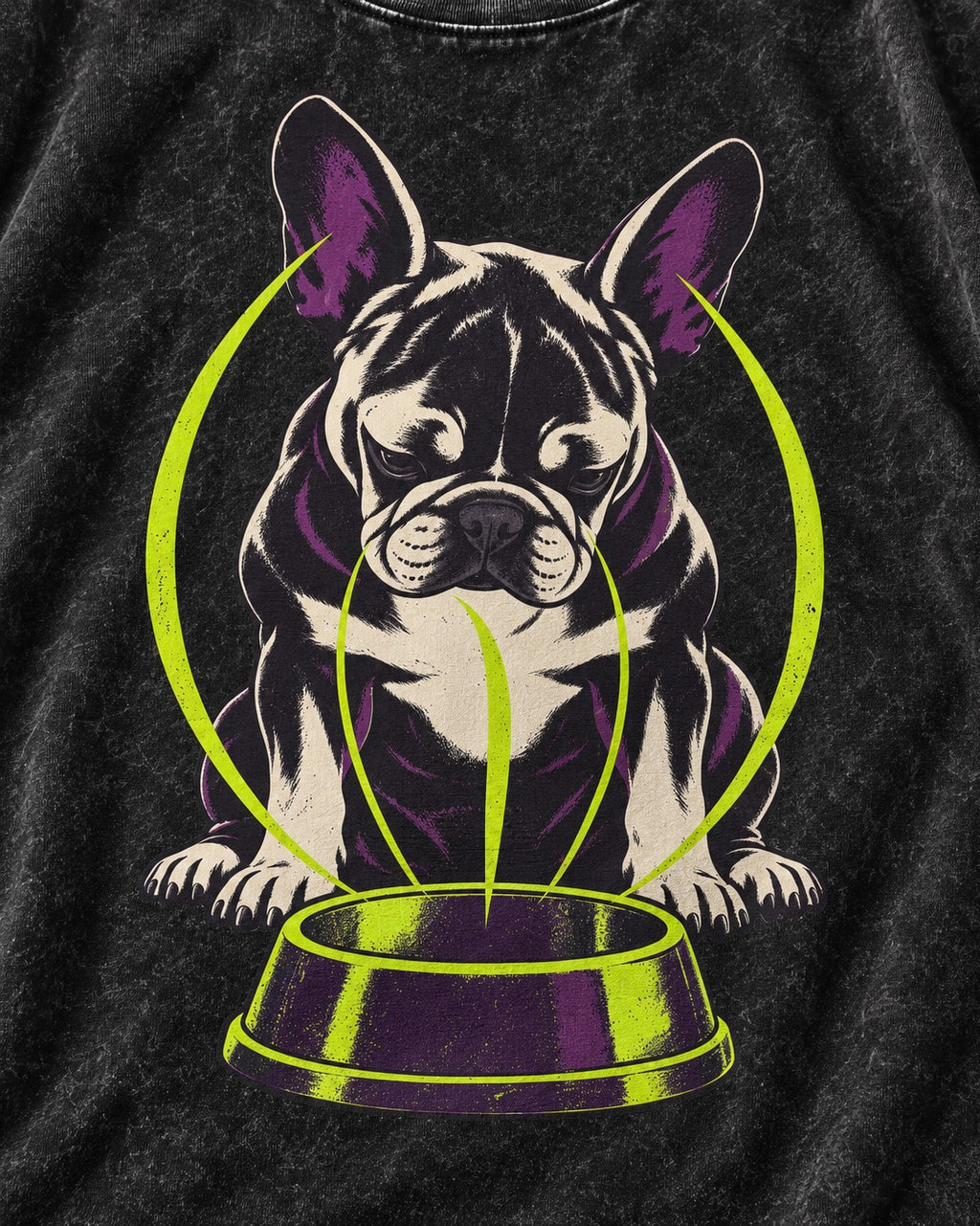 Frenchie Bowl Gravity Graphic Washed Tee in Black, close-up of the graphic