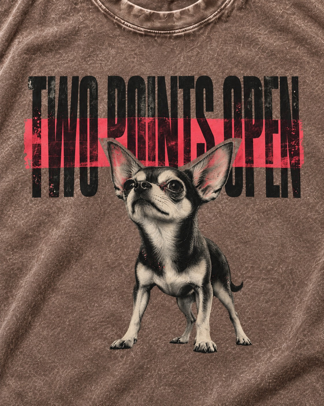 Two Points Open Chihuahua Washed Tee in Coffee, close-up of the graphic