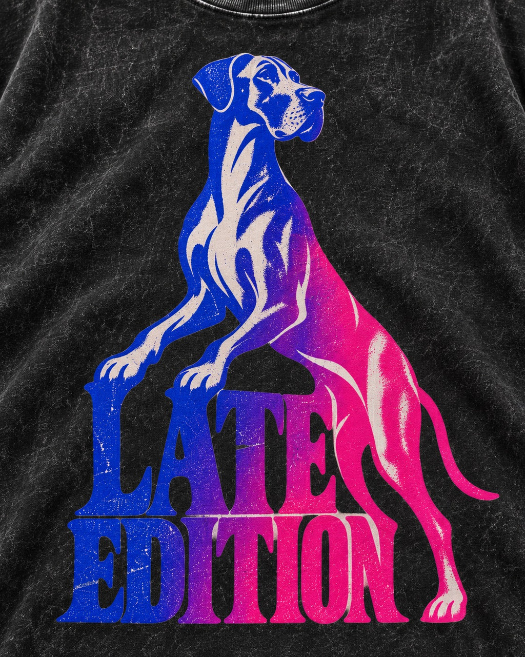 Great Dane Latest Edition Gradient Graphic Washed Tee in Black, close-up of the graphic