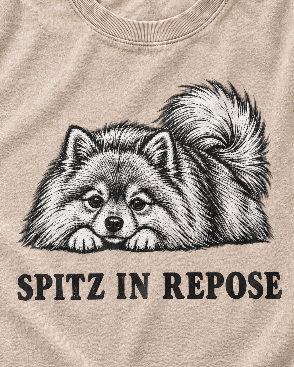 Pomeranian In Repose Washed Tee in Apricot, close-up of the graphic