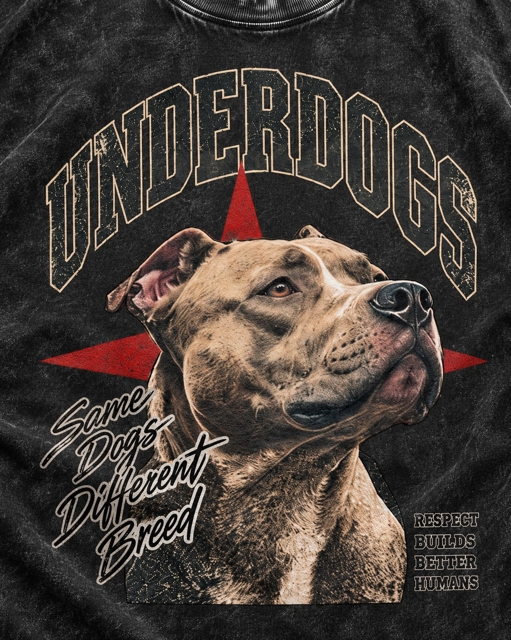 Pitbull Underdogs Same Dogs Different Breed Portrait Graphic Washed Tee in Black, close-up of the graphic