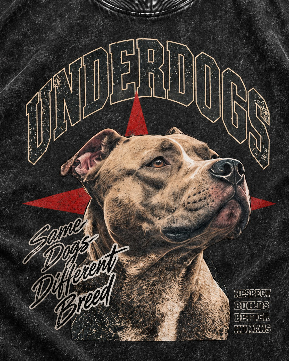 Pitbull Underdogs Same Dogs Different Breed Portrait Graphic Washed Tee in Black, close-up of the graphic