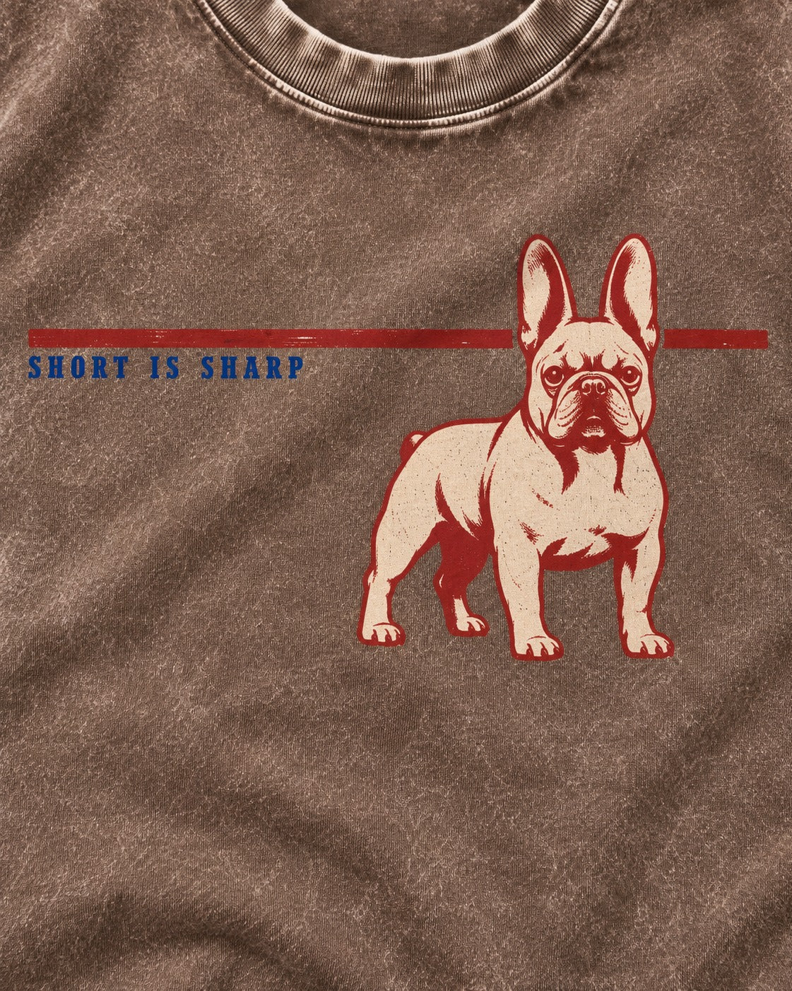 Short Is Sharp Frenchie Washed Tee in Coffee, close-up of the graphic