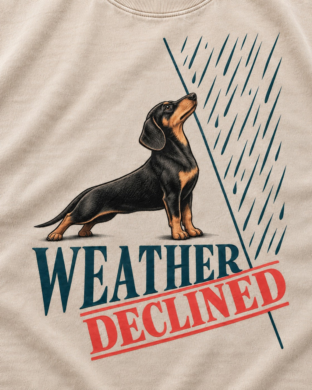 Weather Declined by Dachshund Washed Tee in Apricot, close-up of the graphic