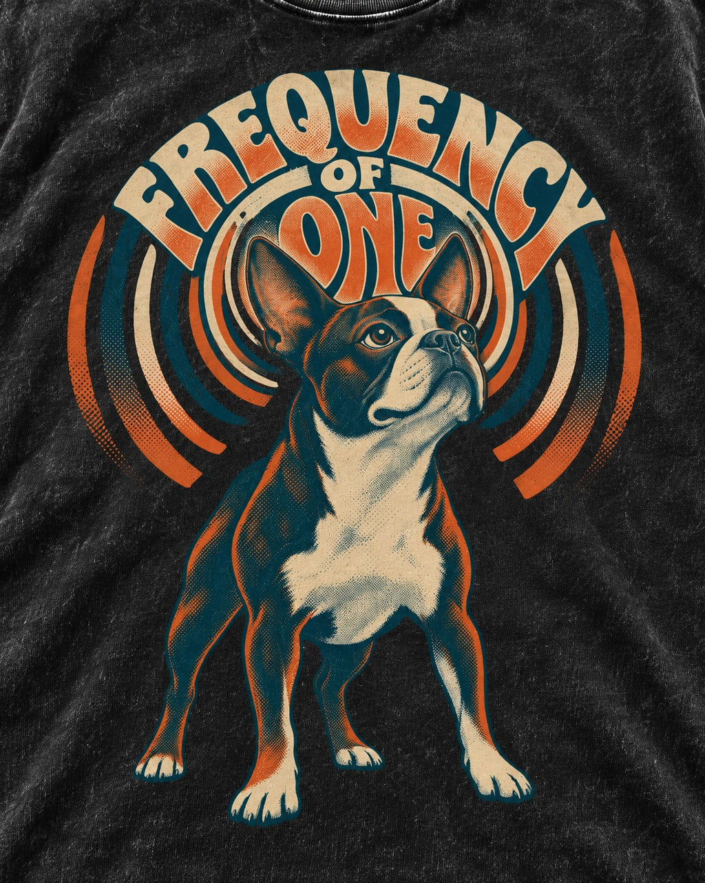 Frequency of One Boston Terrier Graphic Washed Tee in Black, close-up of the graphic