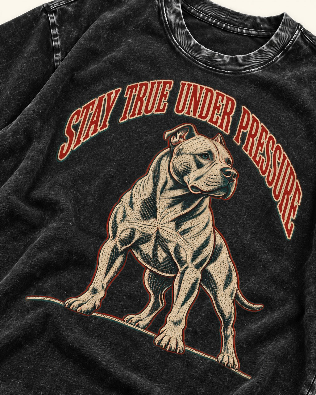 Pitbull Stay True Under Pressure Stance Graphic Washed Tee in Black, close-up of the graphic