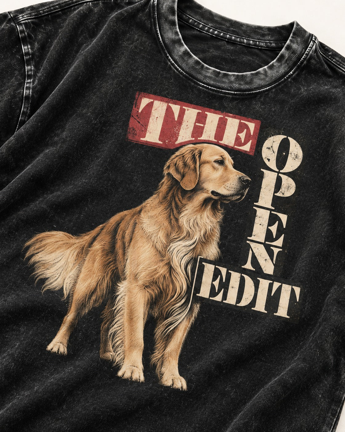 Golden Retriever The Open Edit Typography Portrait Graphic Washed Tee in Black, close-up of the graphic