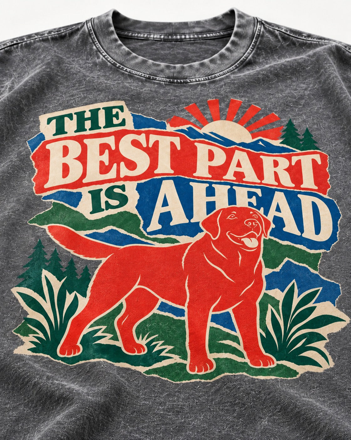 Labrador Retriever The Best Part Is Ahead Outdoor Graphic Washed Tee in Gray, close-up of the graphic