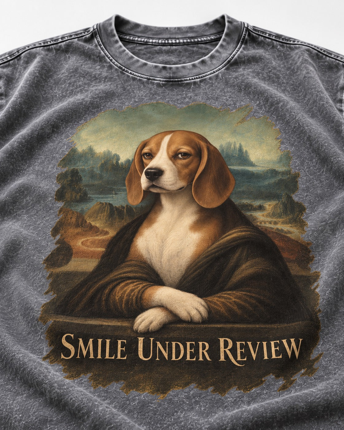 Smile Under Review Beagle Portrait Washed Tee in Gray, close-up of the graphic