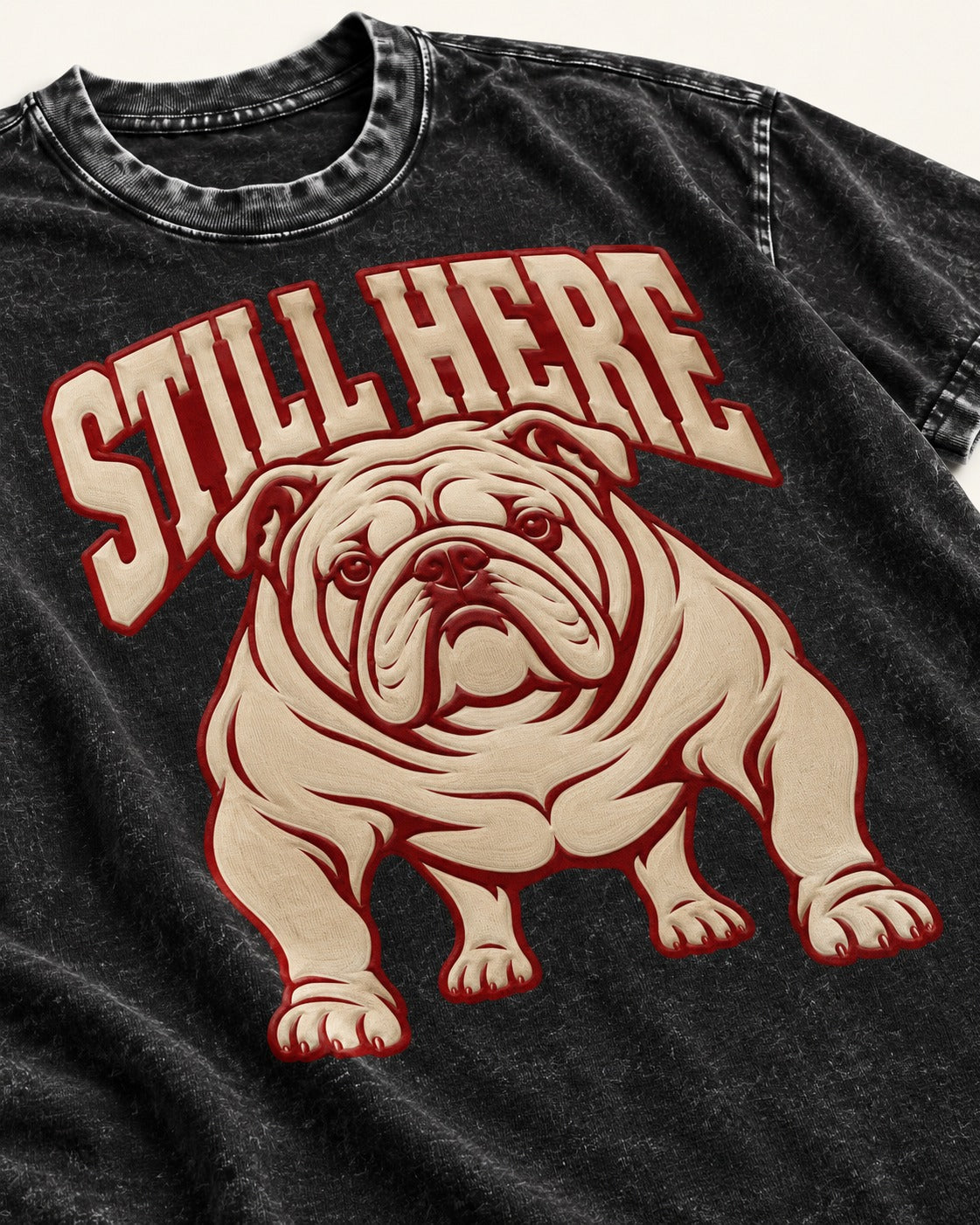 English Bulldog Still Here Collegiate Graphic Washed Tee in Black, close-up of the graphic