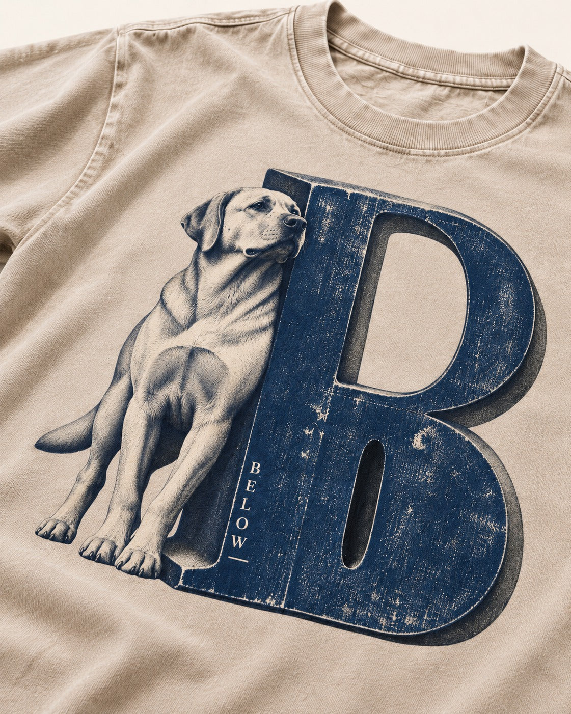 Labrador Retriever Below Washed Tee in Apricot, close-up of the graphic