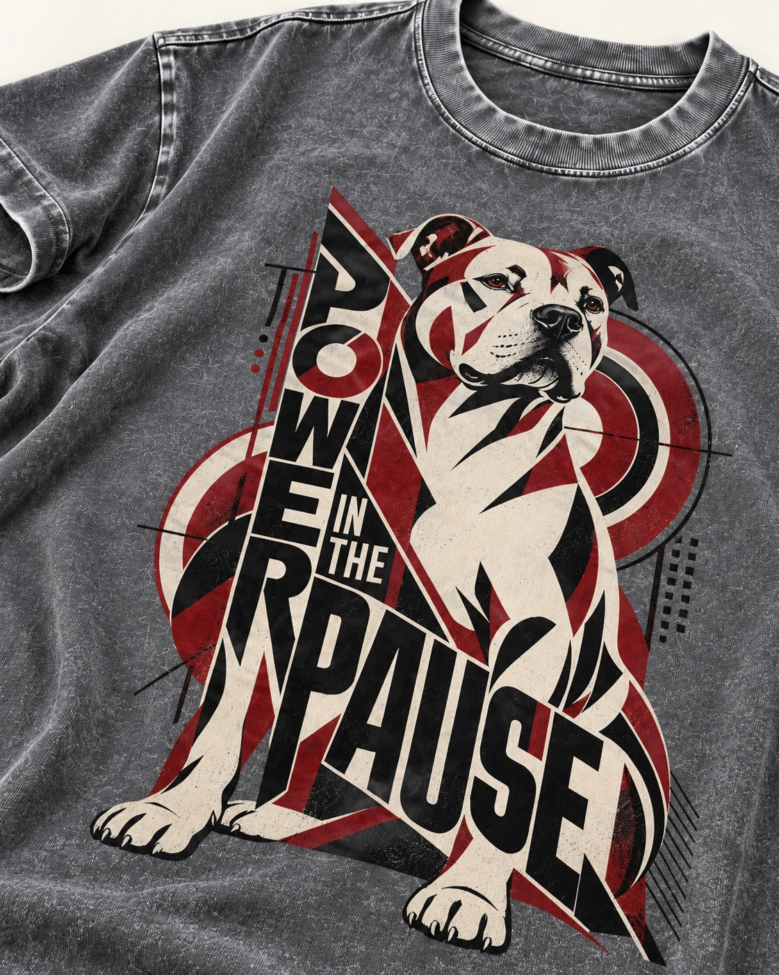 Pitbull Power in the Pause Geometric Graphic Washed Tee in Gray, close-up of the graphic