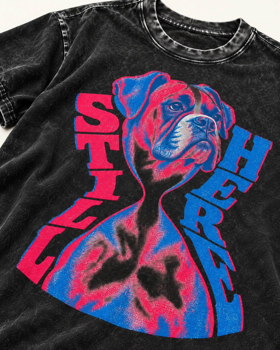 Stay Here Boxer Duotone Portrait Washed Tee in Black, close-up of the graphic