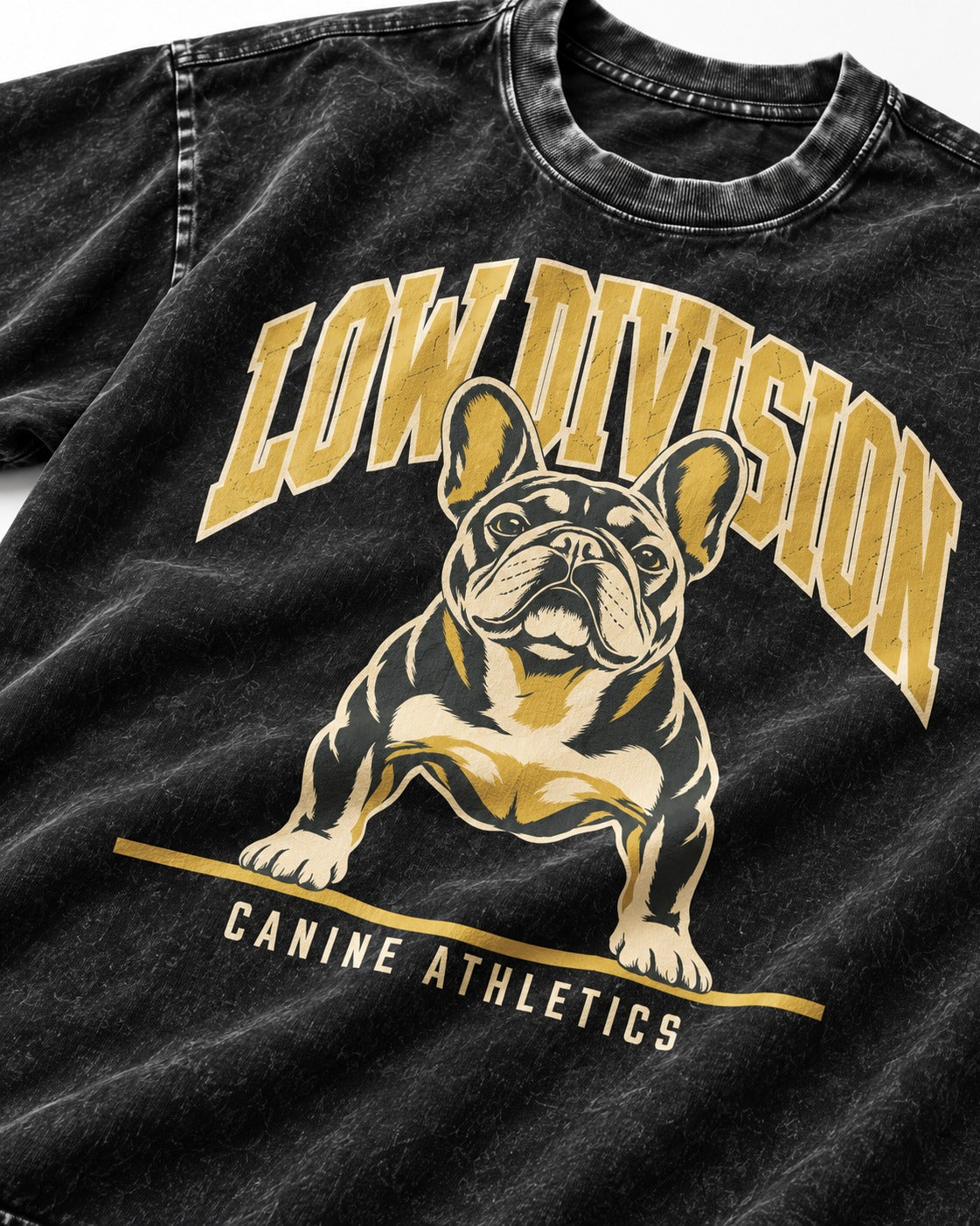Frenchie Low Division Canine Athletics Graphic Washed Tee in Black, close-up of the graphic
