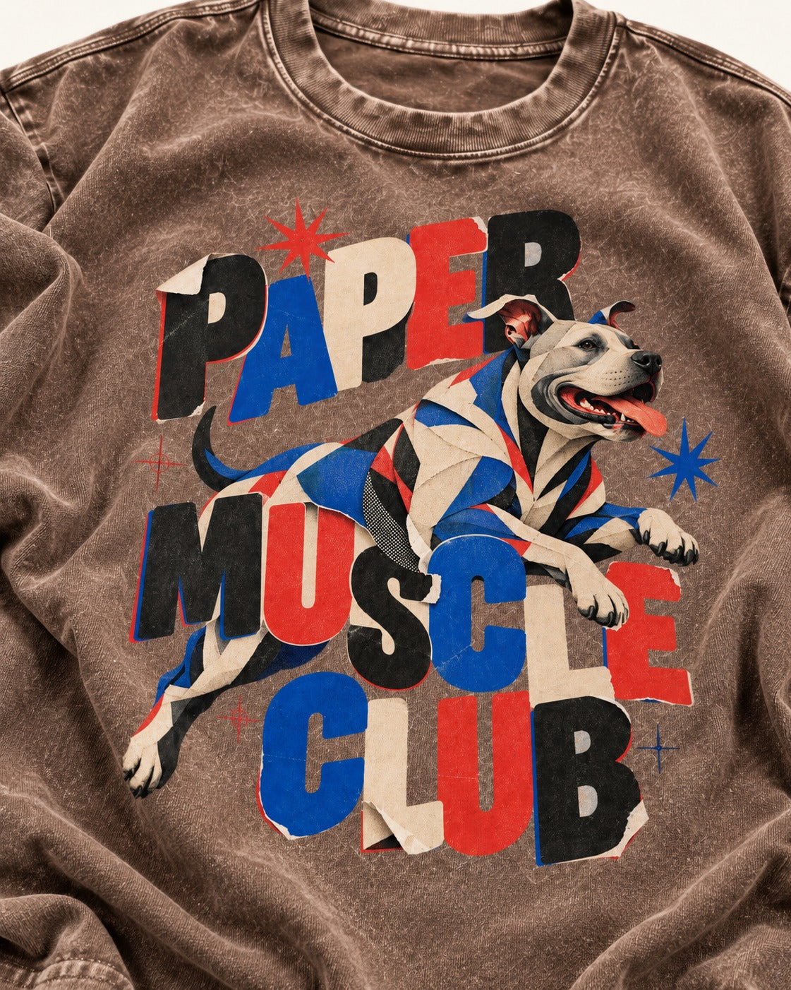 Pitbull Paper Muscle Club Collage Graphic Washed Tee in Coffee, close-up of the graphic