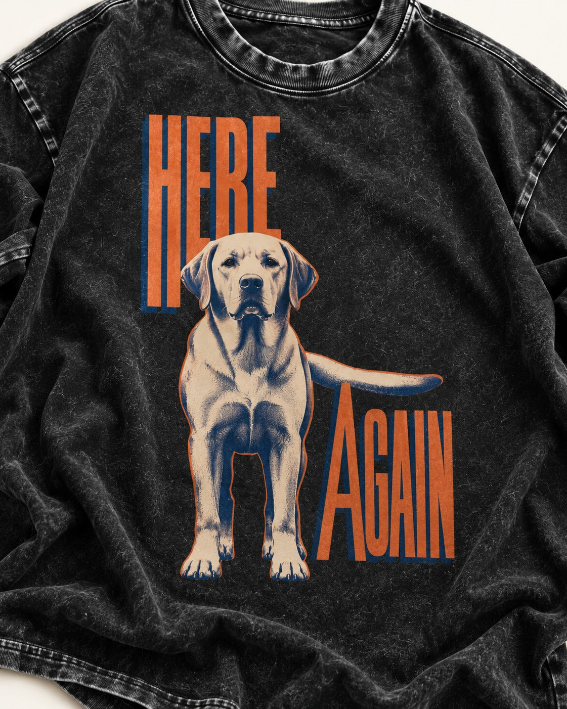 Labrador Retriever Here Again Standing Typography Graphic Washed Tee in Black, close-up of the graphic