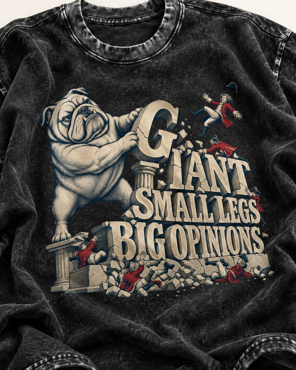English Bulldog Giant Small Legs Big Opinions Monument Graphic Washed Tee in Black, close-up of the graphic