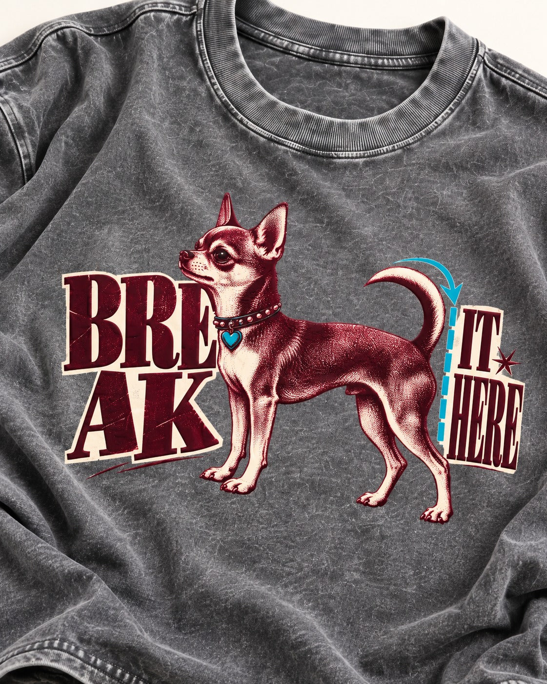 Chihuahua Break It Here Perforation Graphic Washed Tee in Gray, close-up of the graphic