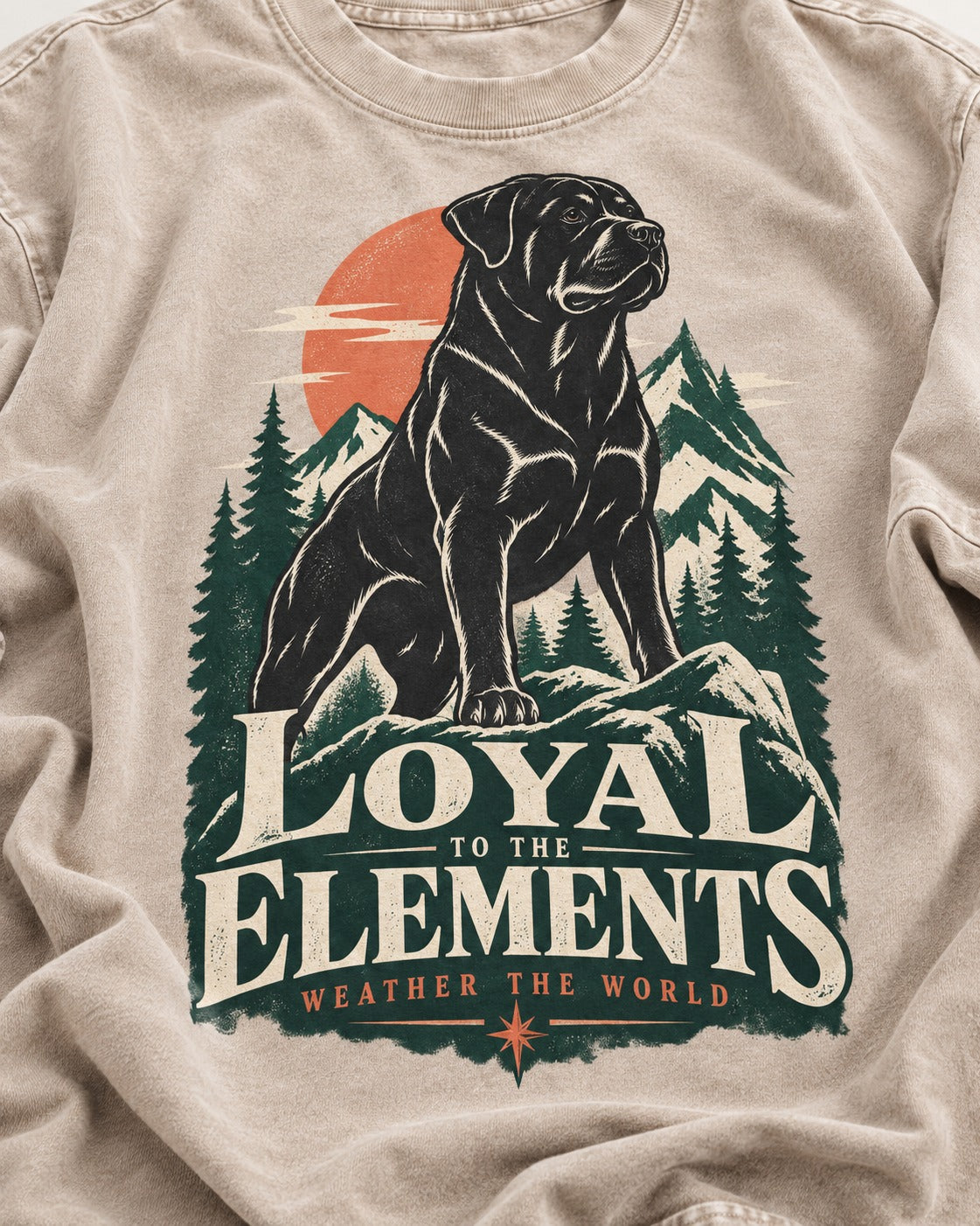 Rottweiler Loyal to the Elements Washed Tee in Apricot, close-up of the graphic