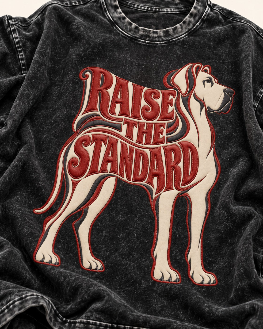 Great Dane Raise the Standard Typography Graphic Washed Tee in Black, close-up of the graphic