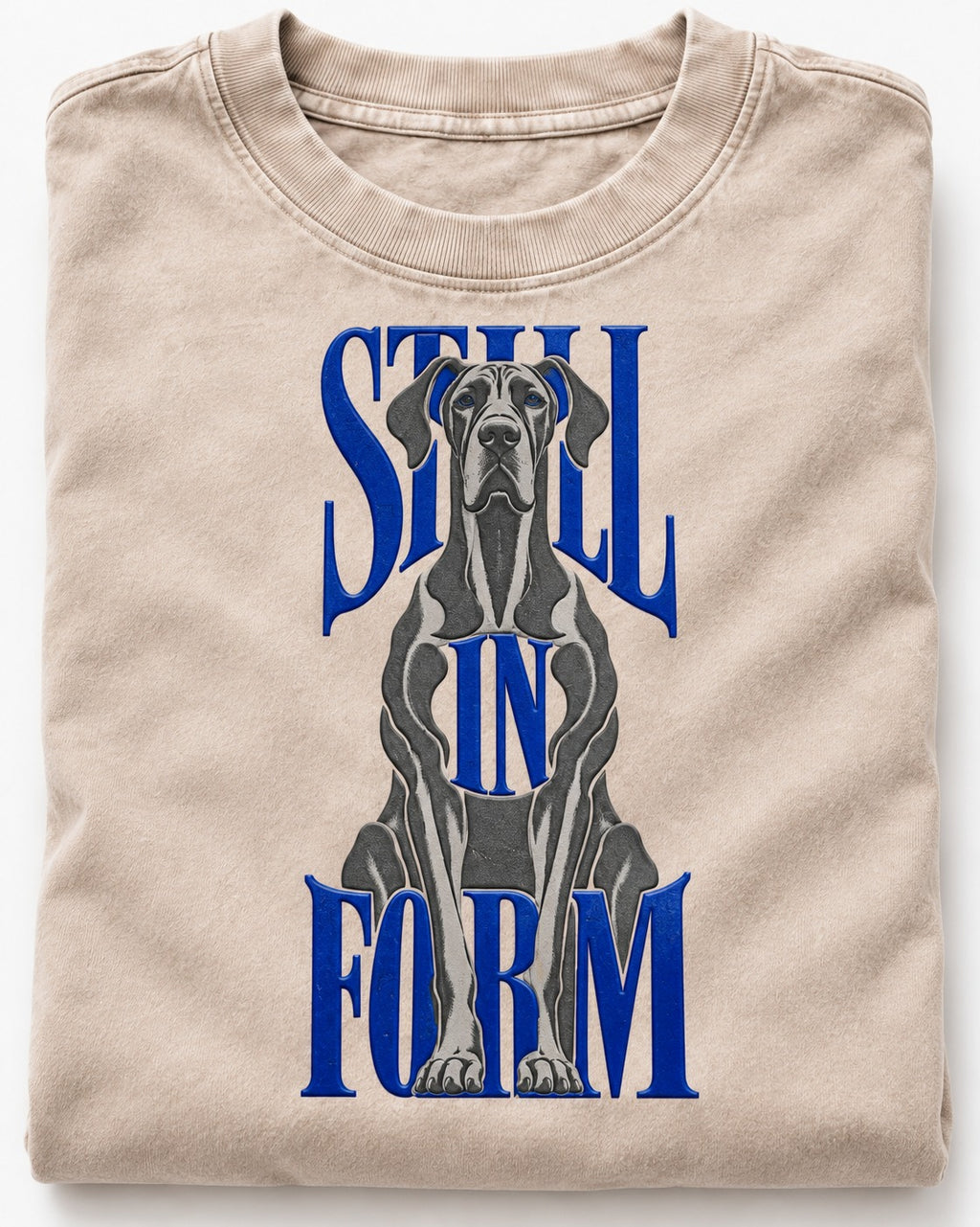 Still in Form Great Dane Washed Tee in Apricot, close-up of the graphic