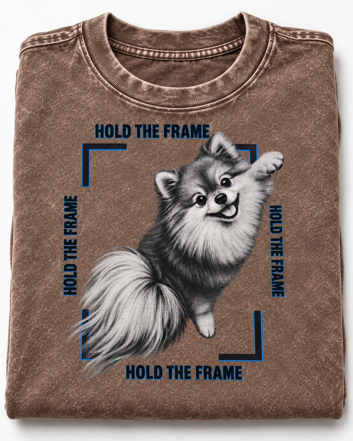 Hold the Frame Pomeranian Washed Tee in Coffee, close-up of the graphic