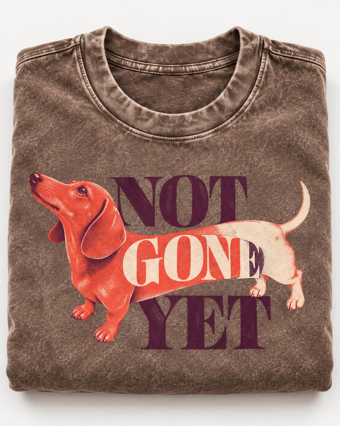 Dachshund Not Gone Yet Washed Tee in Coffee, close-up of the graphic