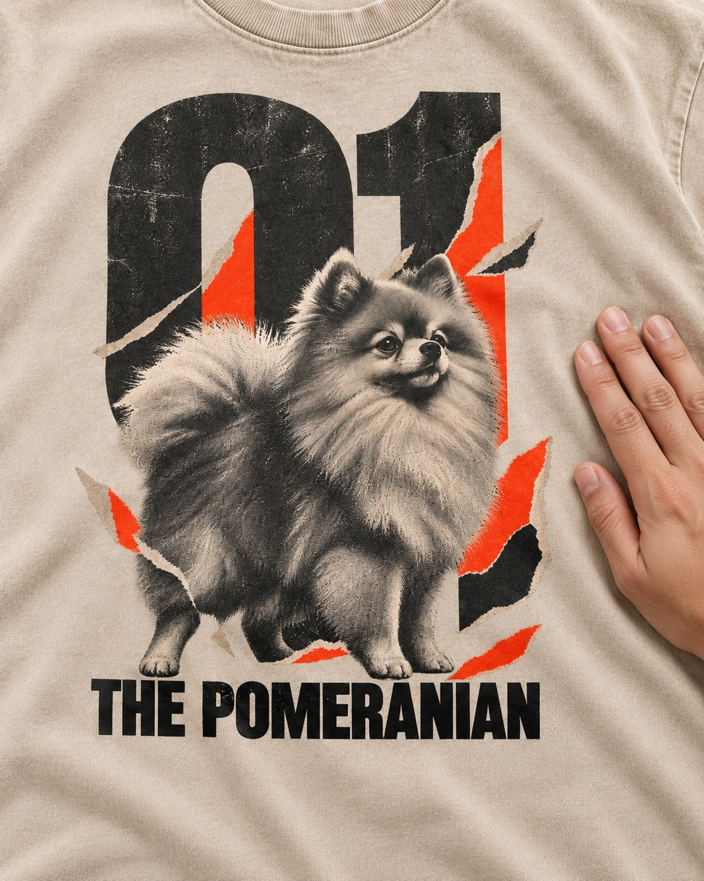 The Pomeranian Washed Tee in Apricot, close-up of the graphic