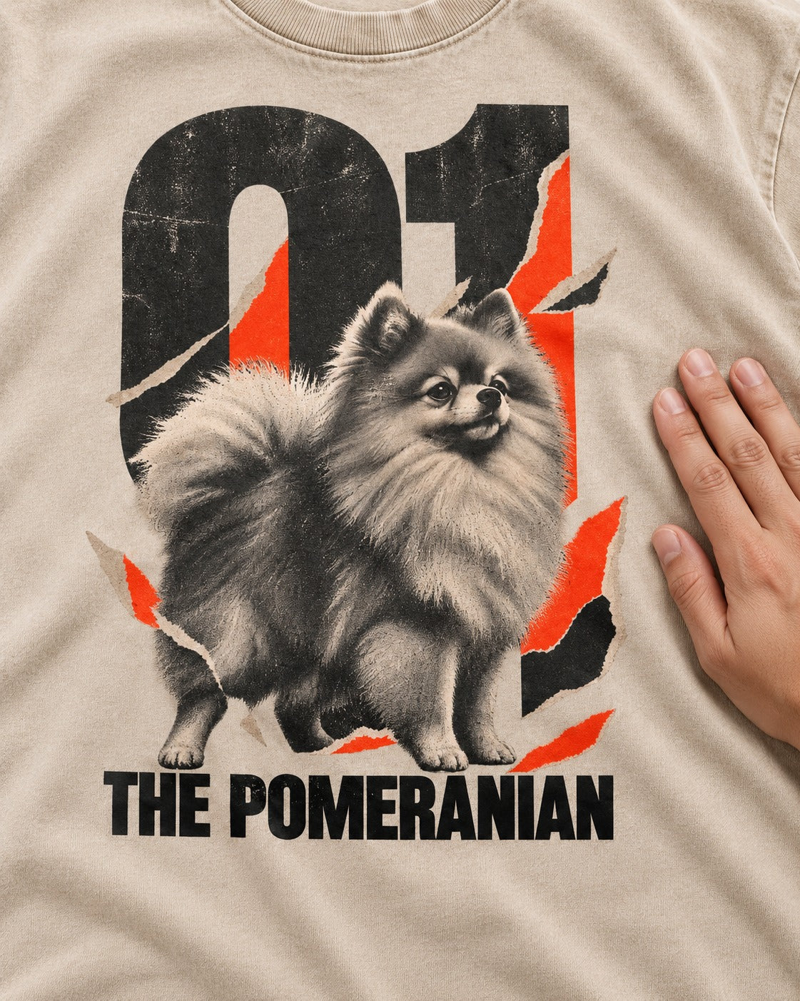 The Pomeranian Washed Tee in Apricot, close-up of the graphic