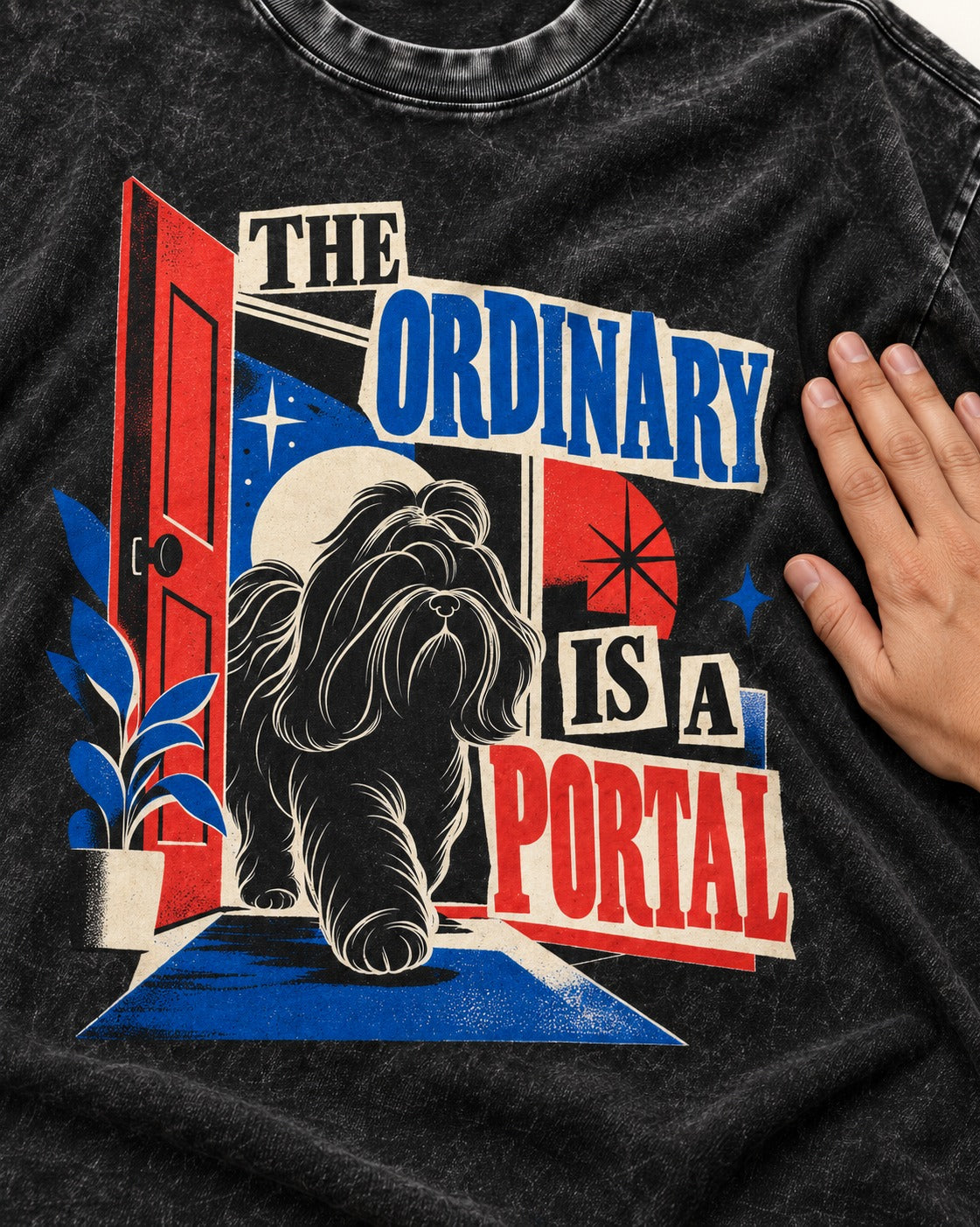 Shih Tzu The Ordinary Is a Portal Door Graphic Washed Tee in Black, close-up of the graphic