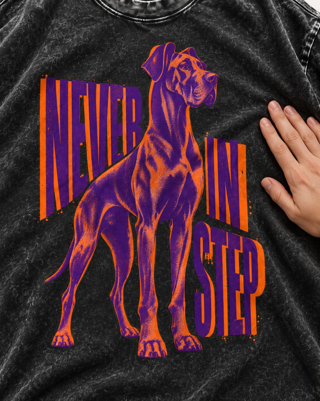 Great Dane Never in Step Standing Graphic Washed Tee in Black, close-up of the graphic
