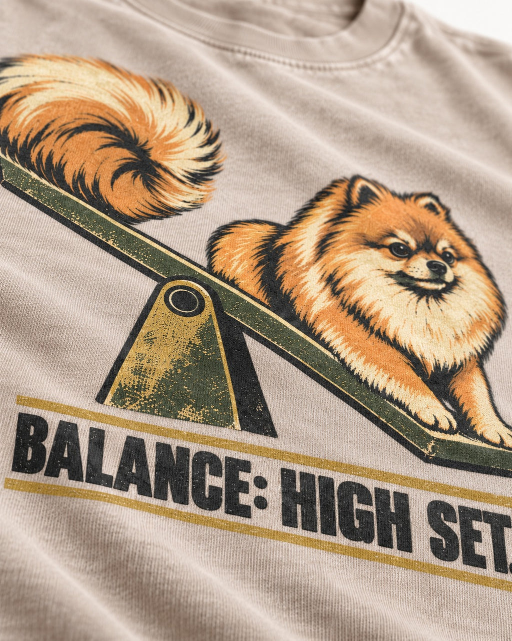 Pomeranian Balance High Set Washed Tee in Apricot, close-up of the graphic