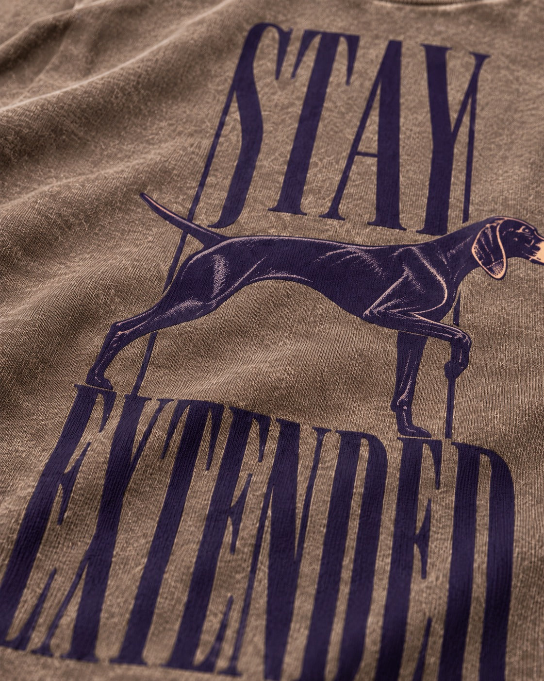 Stay Extended German Shorthaired Pointer Washed Tee in Coffee, close-up of the graphic
