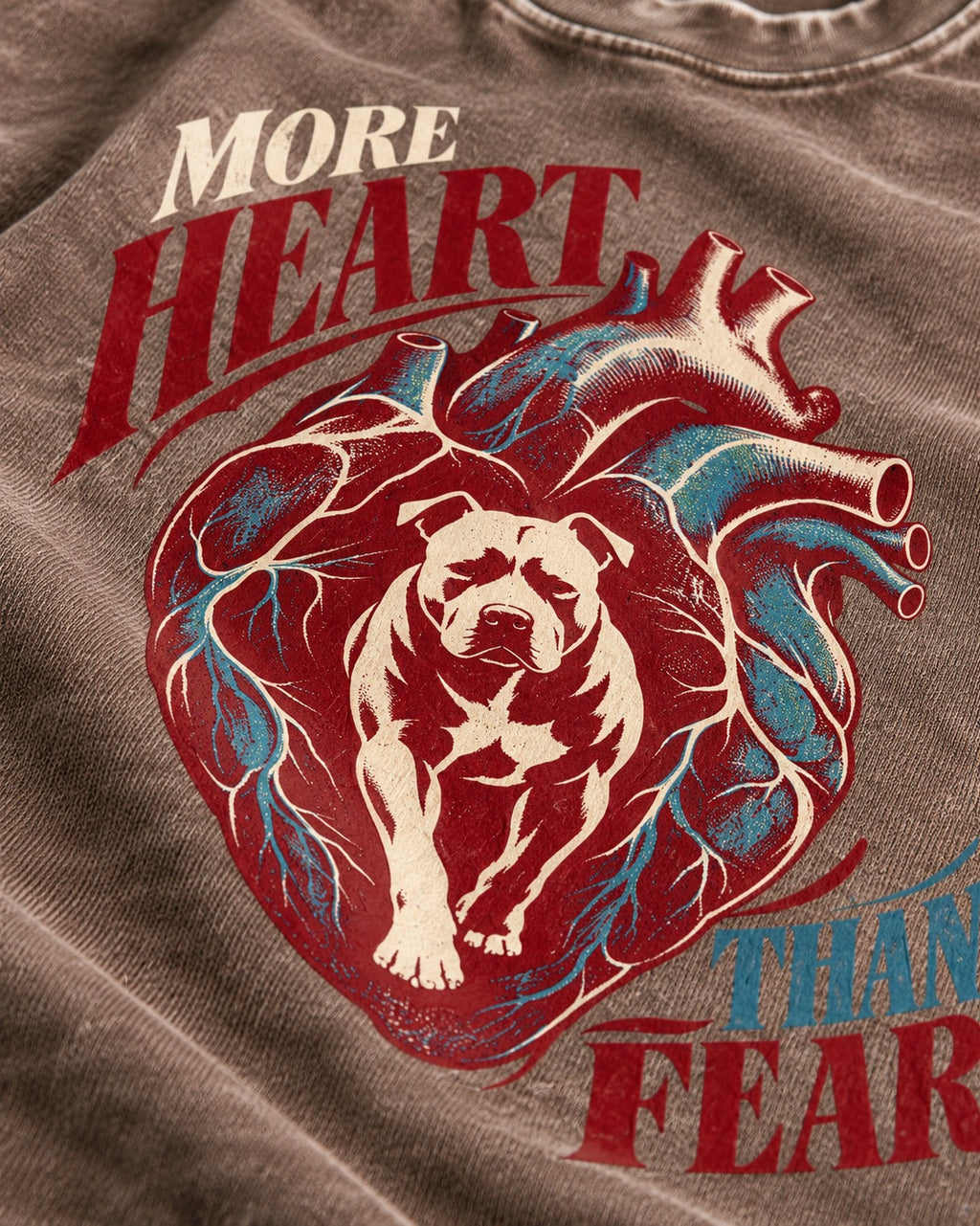 Pitbull More Heart Than Fear Anatomical Heart Graphic Washed Tee in Coffee, close-up of the graphic