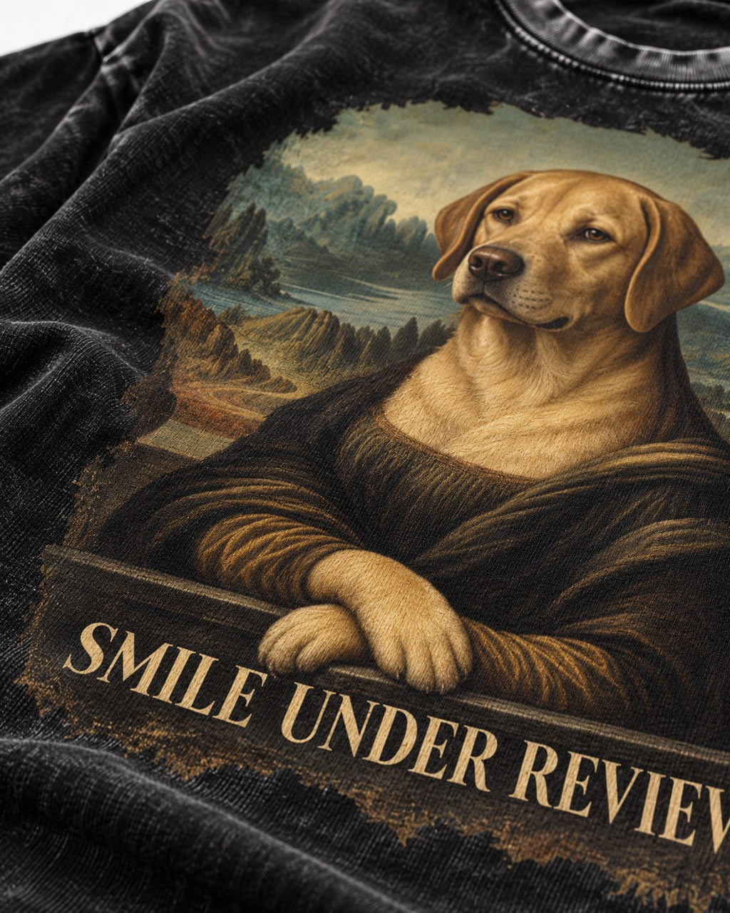 Labrador Retriever Smile Under Review Mona Lisa Graphic Washed Tee in Black, close-up of the graphic