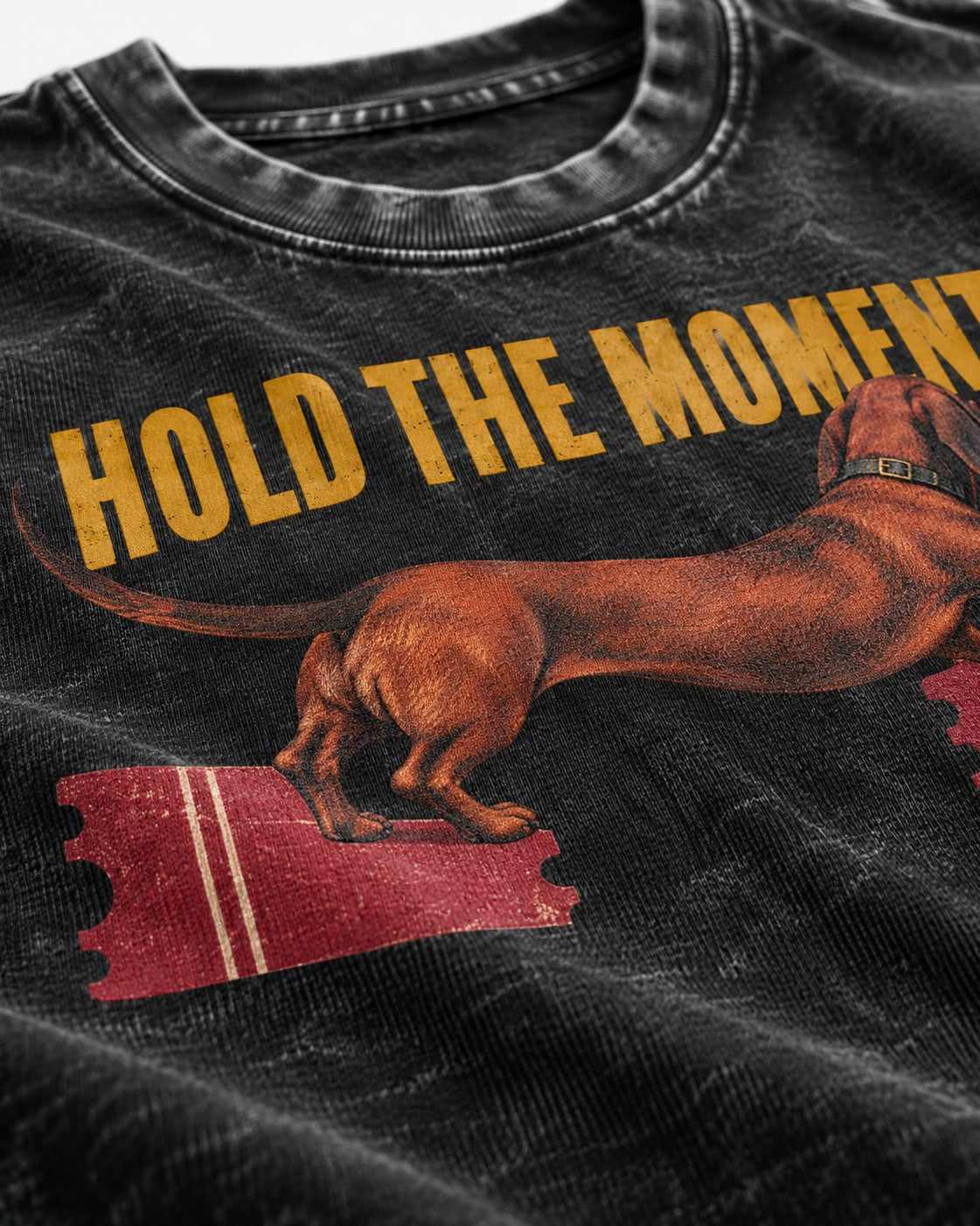 Dachshund Hold The Moment Torn Ticket Bridge Graphic Washed Tee in Black, close-up of the graphic