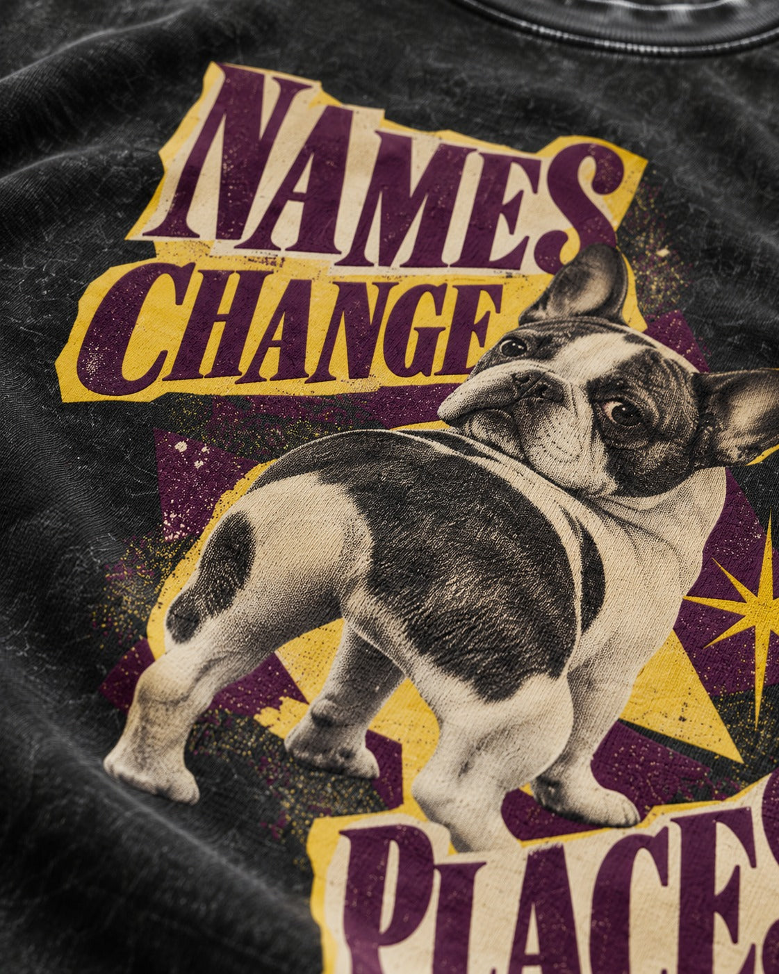 Frenchie Names Change Places Purple Poster Graphic Washed Tee in Black, close-up of the graphic