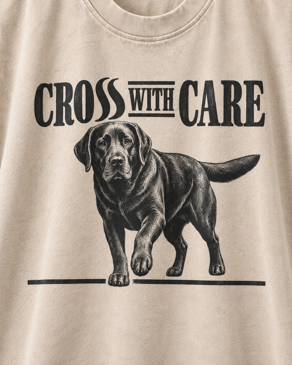 Labrador Retriever Cross with Care Washed Tee in Apricot, close-up of the graphic