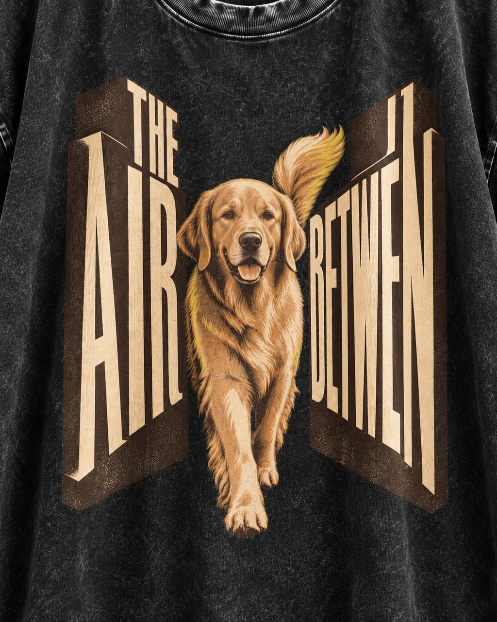 The Air Between Dimensional Golden Retriever Graphic Washed Tee in Black, close-up of the graphic