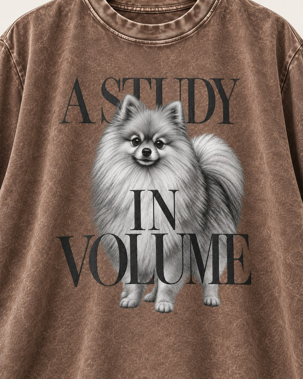 Pomeranian Study in Volume Washed Tee in Coffee, close-up of the graphic