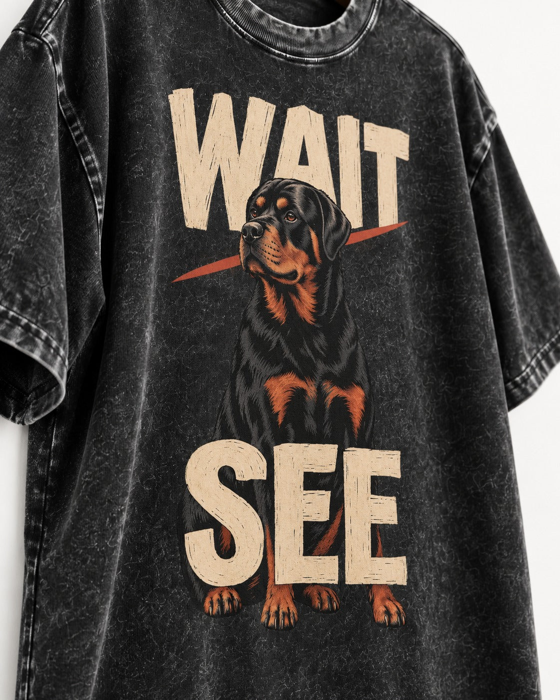 Wait See Rottweiler Seated Slash Graphic Washed Tee in Black, close-up of the graphic
