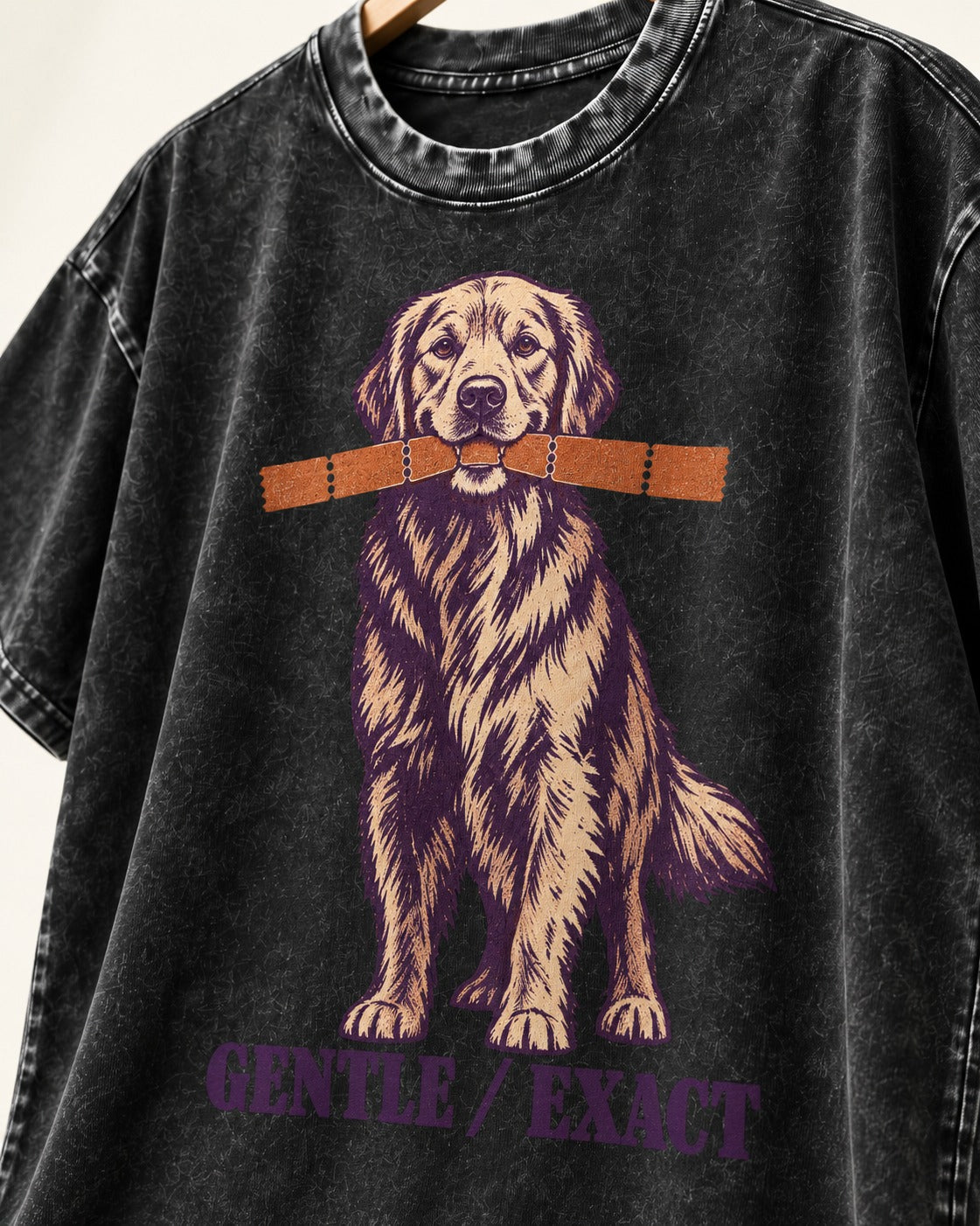Golden Retriever Gentle Exact Paper Bridge Graphic Washed Tee in Black, close-up of the graphic