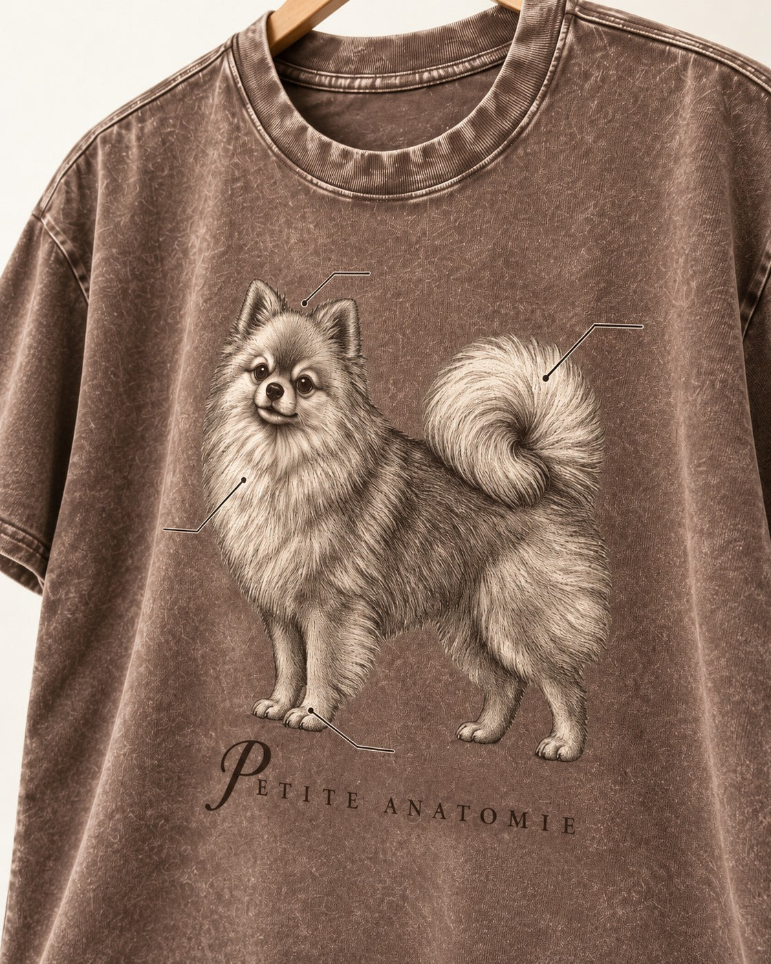 Pomeranian Petite Anatomie Washed Tee in Coffee, close-up of the graphic