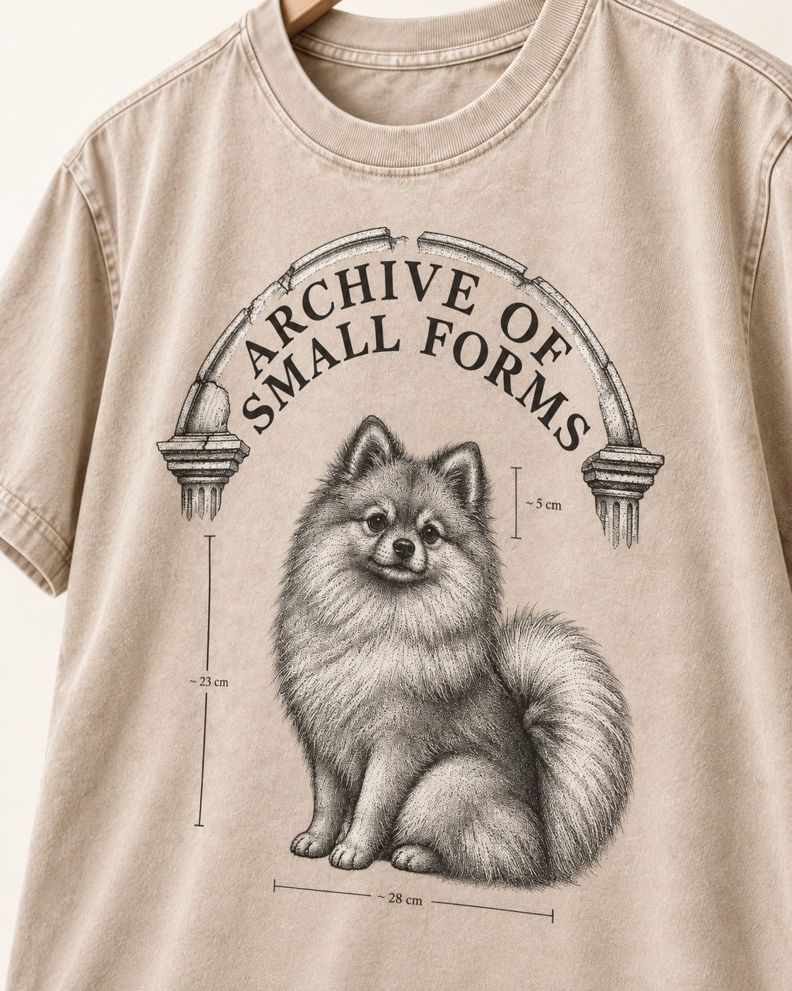 Pomeranian Archive of Small Forms Washed Tee in Apricot, close-up of the graphic