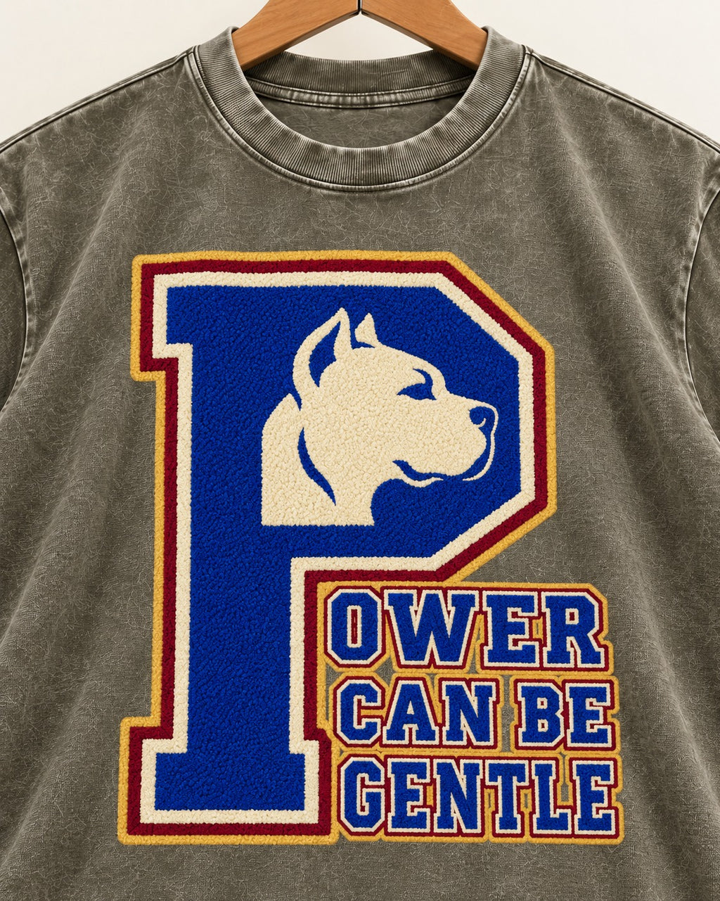 Pitbull Power Can Be Gentle Varsity Graphic Washed Tee in Army Green, close-up of the graphic