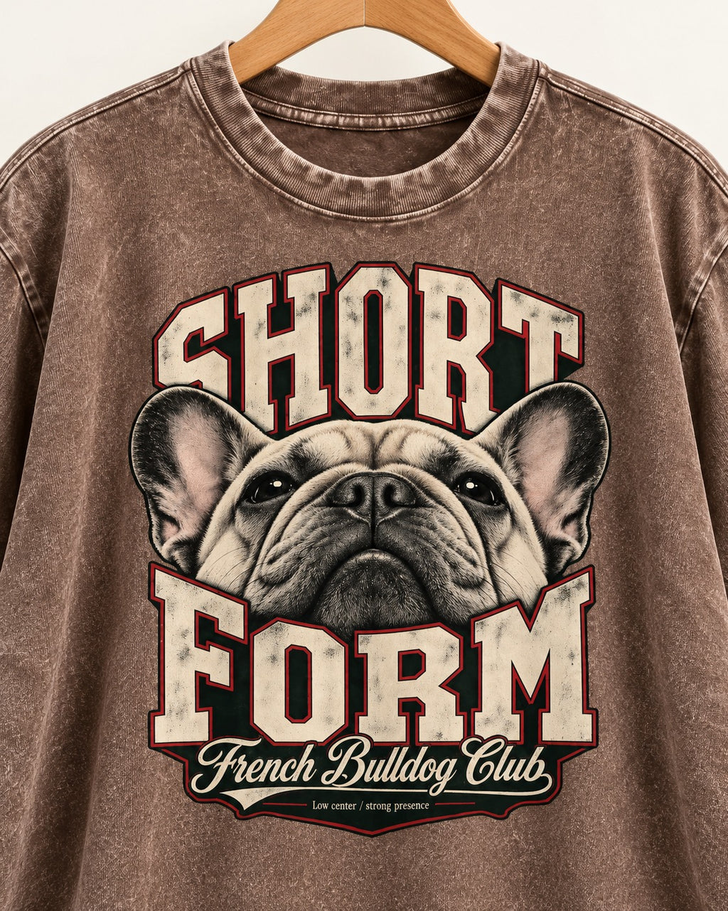 Short Form Frenchie Washed Tee in Coffee, close-up of the graphic