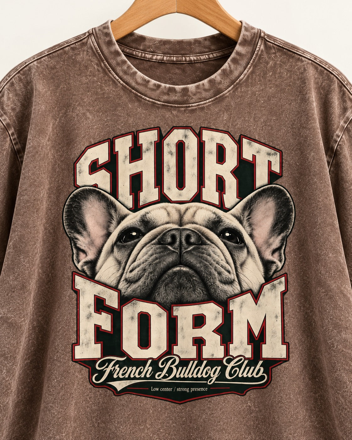 Short Form Frenchie Washed Tee in Coffee, close-up of the graphic