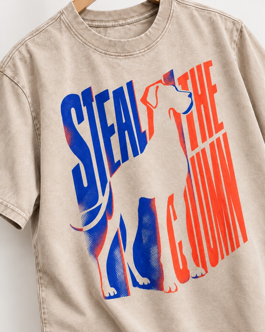 Steal the Show Great Dane Washed Tee in Apricot, close-up of the graphic